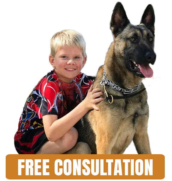 Protection Dogs For Your Family