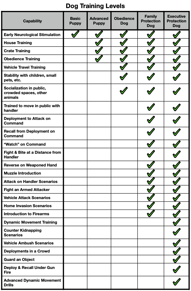 Training Comparison